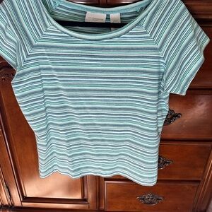 Liz Claiborne Petite Striped Blue and Green Women's Top